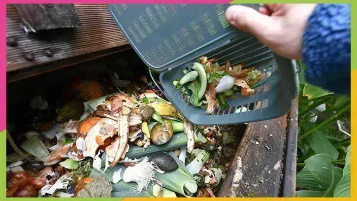 Composteur de jardin, comme ici, lombricomposteur et même collecte dédiée dans la majorité de quartiers nantais : les solutions ne manquent pas pour composter. ©Rodolphe Delaroque