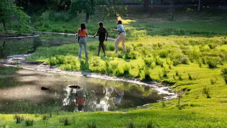 Au Parc de Procé, un oasis de biodiversité a été créé sur les berges de la Chézine. © Christiane Blanchard