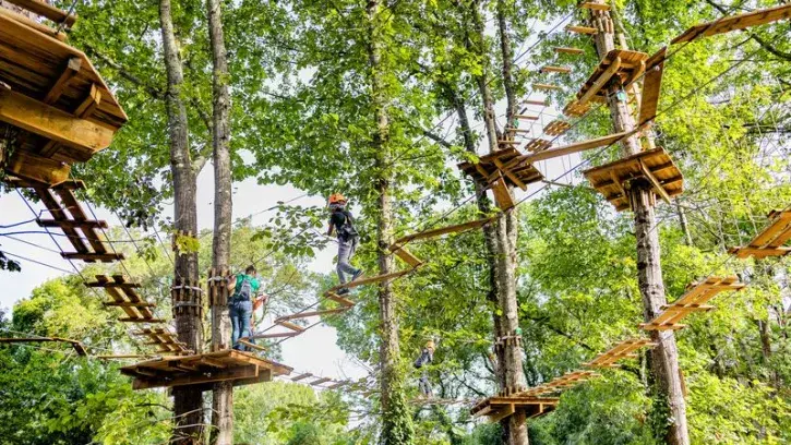 L'accès aux différents parcours s'effectue se fait au même endroit par trois grands escaliers en bois afin de limiter l'emprise au sol et préserver les sous-bois. © Granace Wester pour la Ville de Nantes