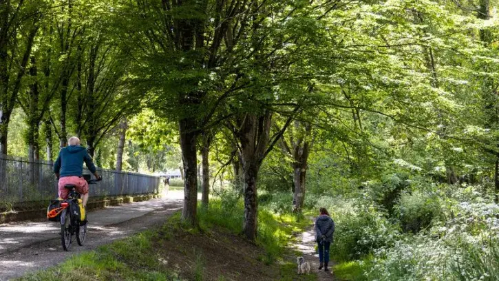 La métropole nantaise compte 1 million d'arbres pour 680 000 habitants. Cette canopée couvre 25,5 % de la superficie du territoire. © Jean-Félix Fayolle