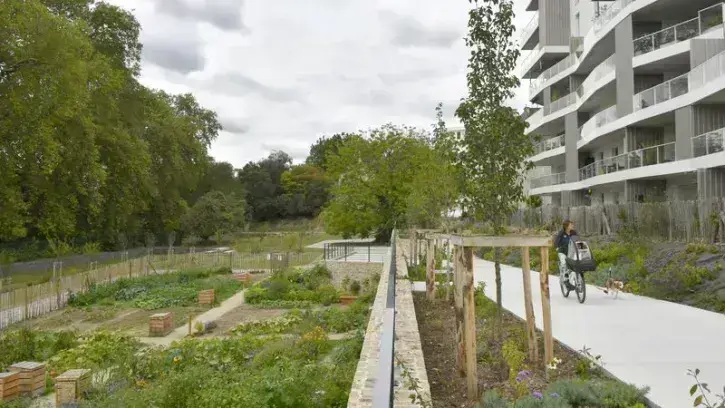 Côté potager, le 28e site de jardins familiaux de Nantes abrite 11 parcelles individuelles, ainsi qu'une parcelle collective de 300 m2 cultivée par 15 foyers du quartier. © Rodolphe Delaroque