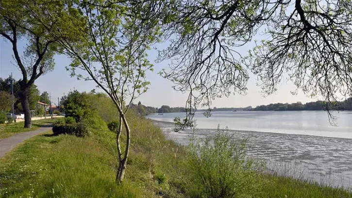 La baisse des débits de la Loire, conjuguée aux grandes marées, peut impacter la production d'eau potable. © Rodolphe  Delaroque