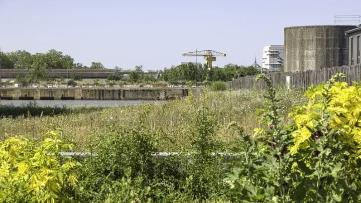 Le jardin de la Cale Aubin, aménagé à la place de l'ancien dépôt Conforama, offre des vues inédites sur la Loire et l'île de Nantes. © G. Satre pour Nantes Métropole Aménagement