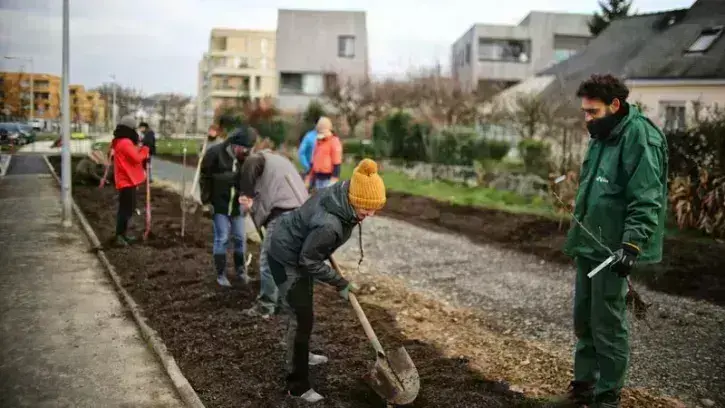 Cette première séance de l'année sera suivie d'autres plantations : jeunes plants forestiers au Petit-Port, fruitiers rue du Fort, puis au Port-Boyer. © Romain Boulanger