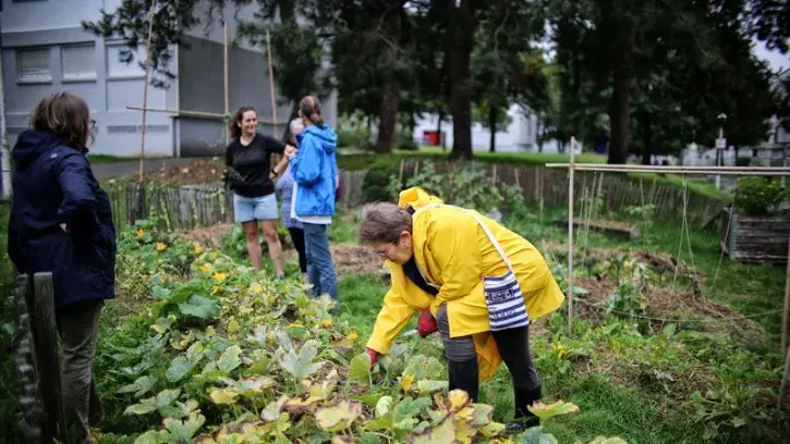 Le potager de la Pâtelière, aux Dervallières. © Romain Boulanger