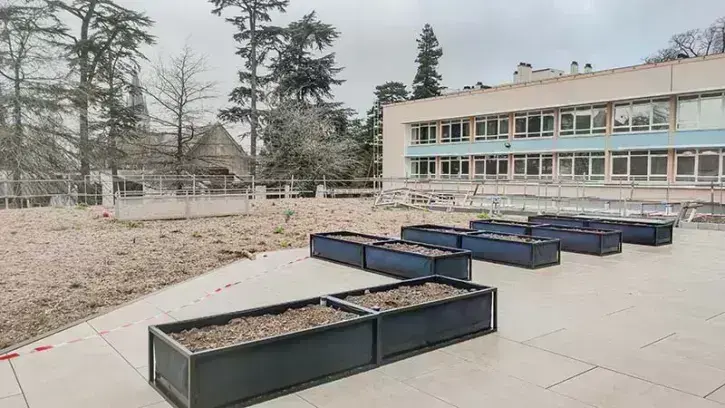 À l'étage, une terrasse plantée, accessible depuis les salles de classe, sera bientôt utilisée par les élèves.