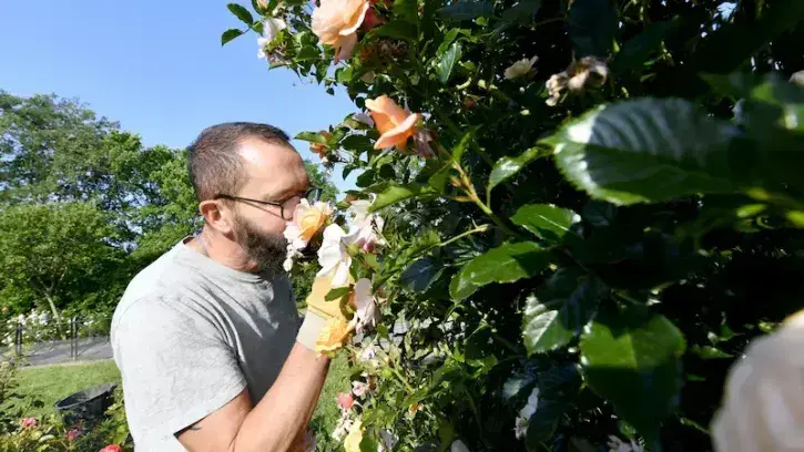 Avez-vous un bon odorat ? Saurez-vous distinguer les notes florales, des notes d'agrumes ou boisées ? © Marc Roger
