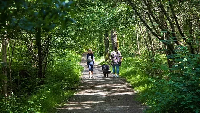 10 idées de sorties nature à 10 km d'ici
