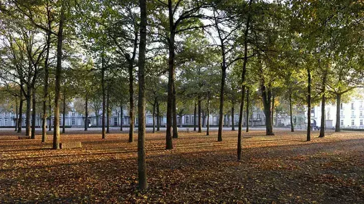 Cours Saint-Pierre, la Ville a testé l'hydroseeding, une méthode de semis par projection hydraulique, pour végétaliser l'espace. © Romain Boulanger