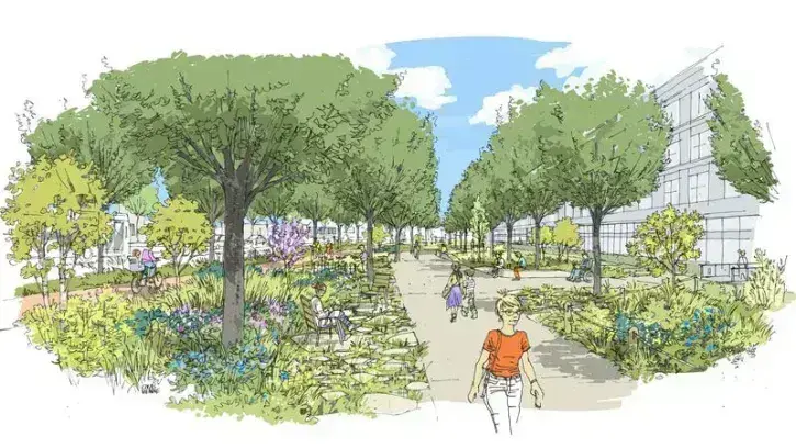 La route de Paris sera végétalisée avec le prolongement du mail planté, des jardins, des lieux de pause et la création d'îlots de fraîcheur.