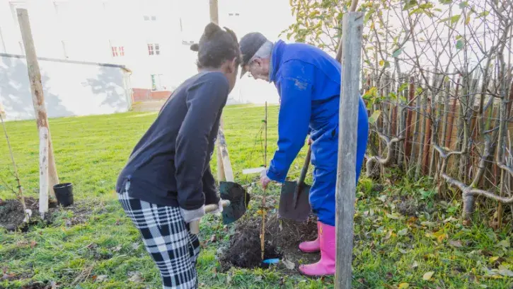Des vignes ont pris racine au Pin Sec depuis novembre 2023 © Garance Wester pour Nantes Métropole